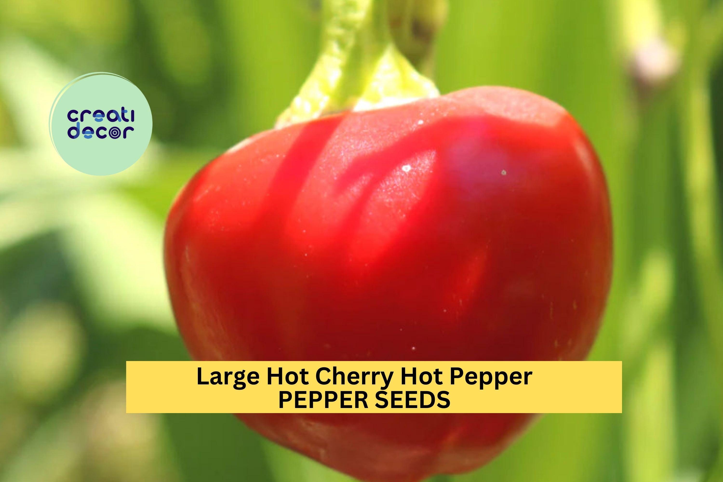 3pcs of 250mg Large Cherry Hot Pepper Seeds – Spicy Round Peppers for Pickling, Sauces, and Home Garden Planting Seeds for Planting