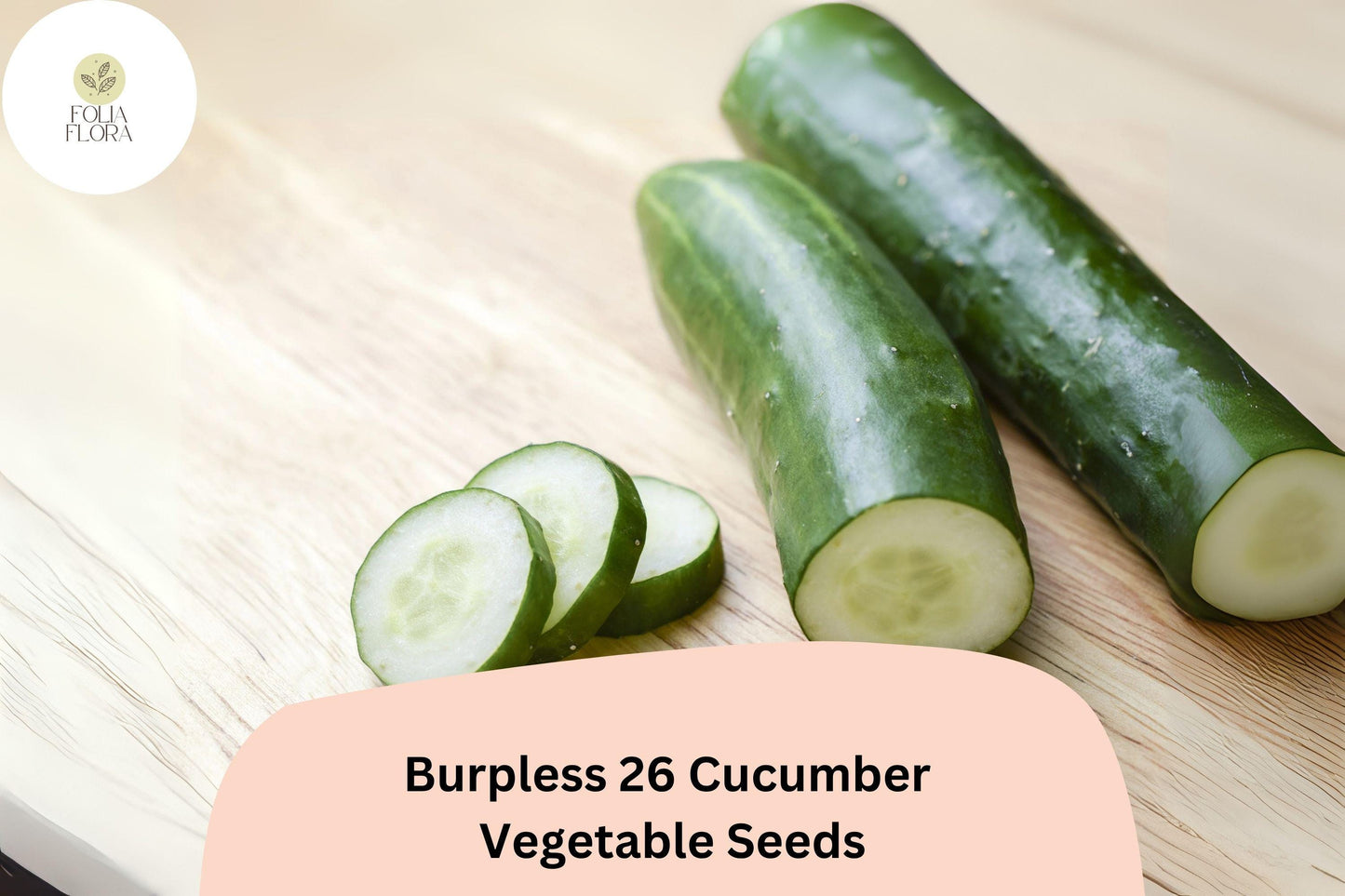 25+ Burpless 26 Cucumber Seeds | Tender Non-Bitter Slicer | Heirloom Non-GMO Easy Garden Planting