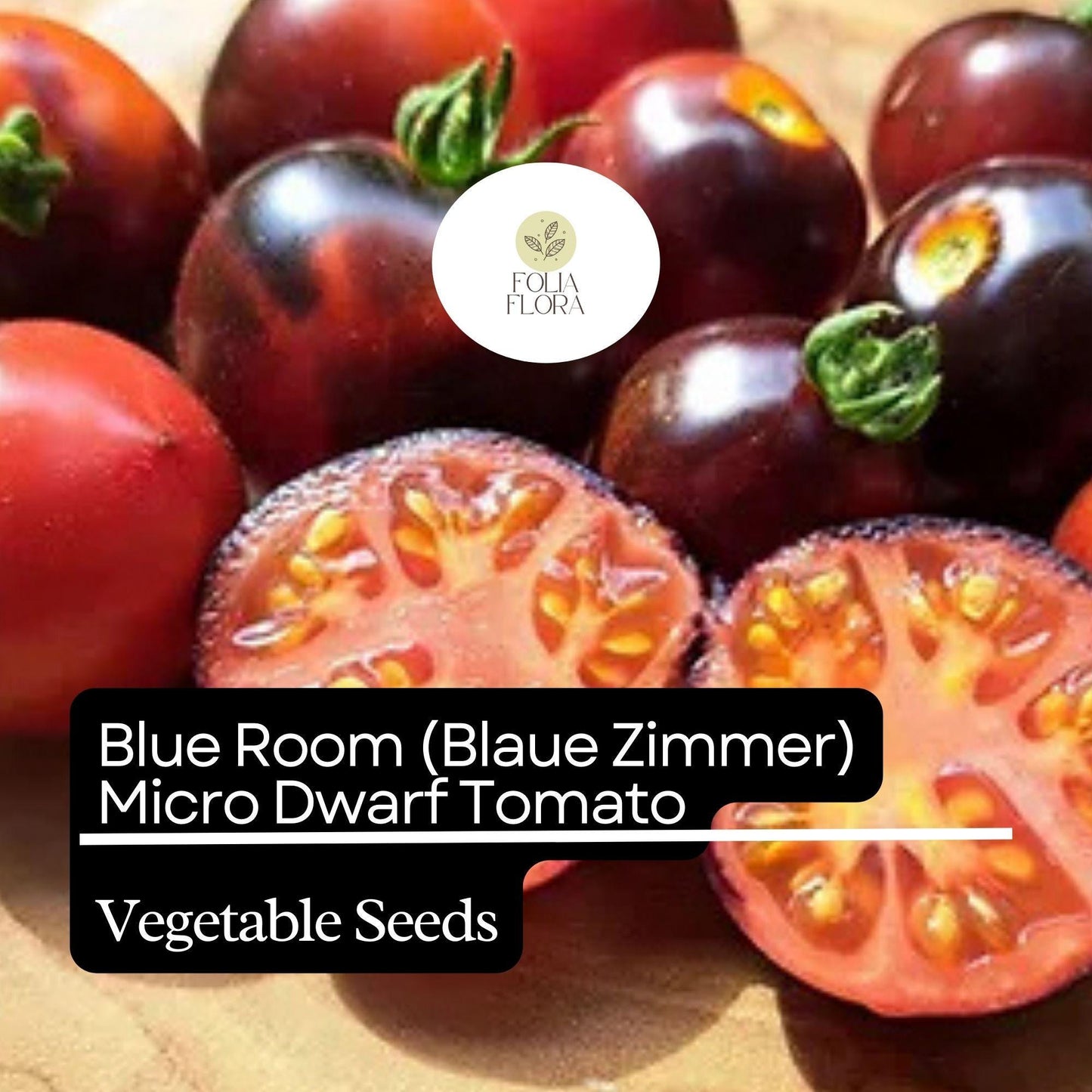 15 Blue Room (Blaue Zimmer) Micro Dwarf Tomato Seeds (Solanum lycopersicum) – Heirloom, Non-GMO, Compact & High-Yield