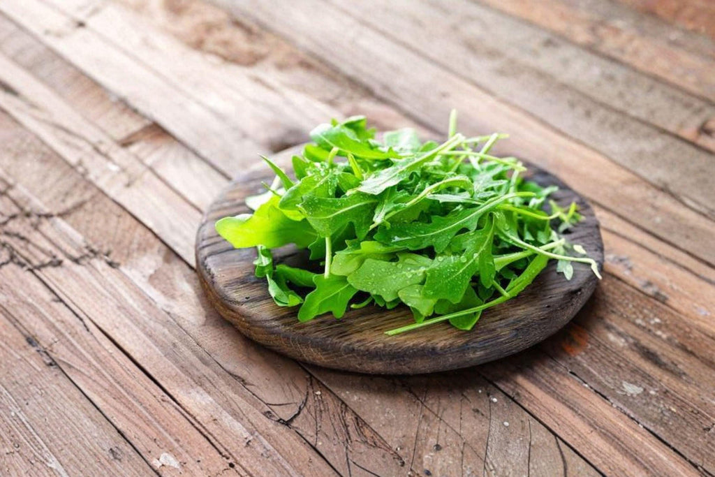 Arugula 700 Seeds | Fast-Growing Salad Green | Peppery Flavor | Cool-Season Favorite