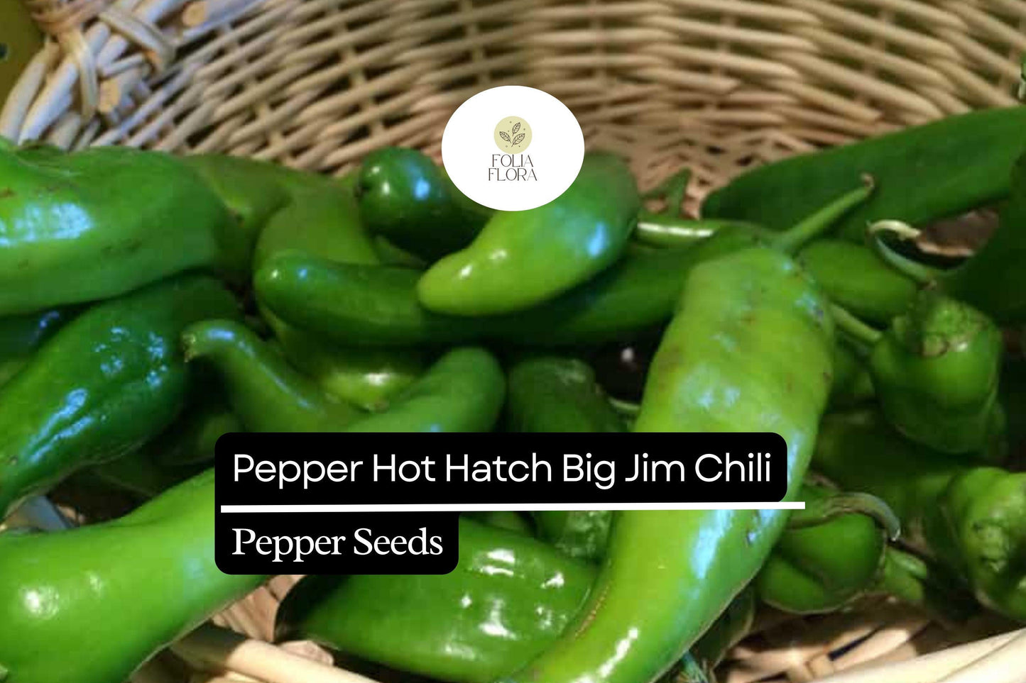 25 Hatch Big Jim Pepper Seeds – Capsicum annuum – Mild to Medium Heat, Heirloom, Non-GMO, Perfect for Roasting