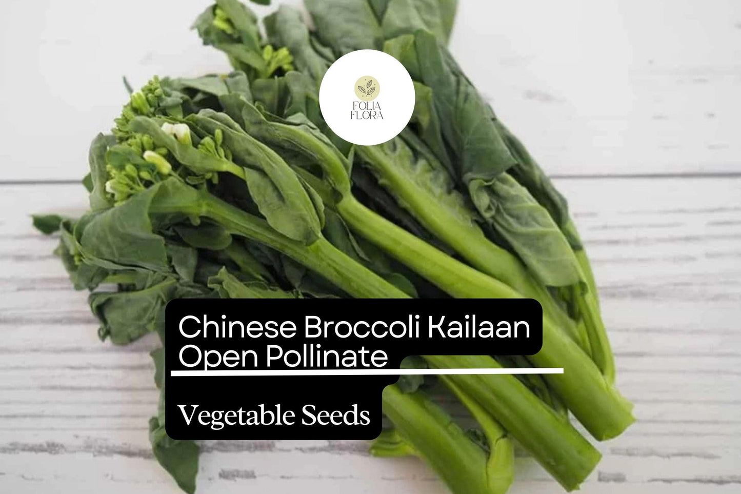 500mg Chinese Broccoli Kailaan Seeds Brassica oleracea | Open Pollinated Heirloom Variety | Tender Stalks & Delicious Greens