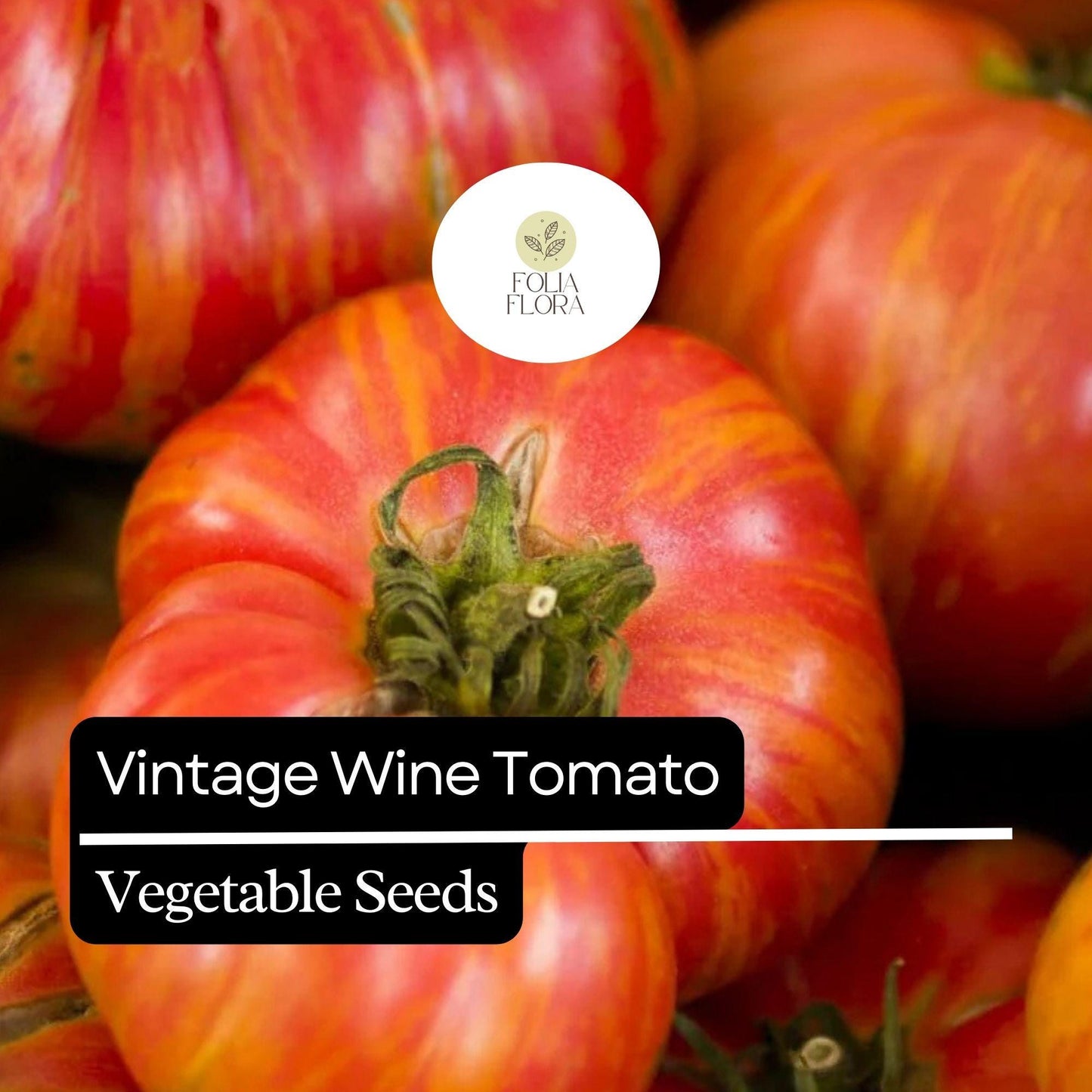 30 Vintage Wine Tomato Seeds – Heirloom, Striped Pink & Gold, Juicy and Sweet, Perfect for Fresh Eating