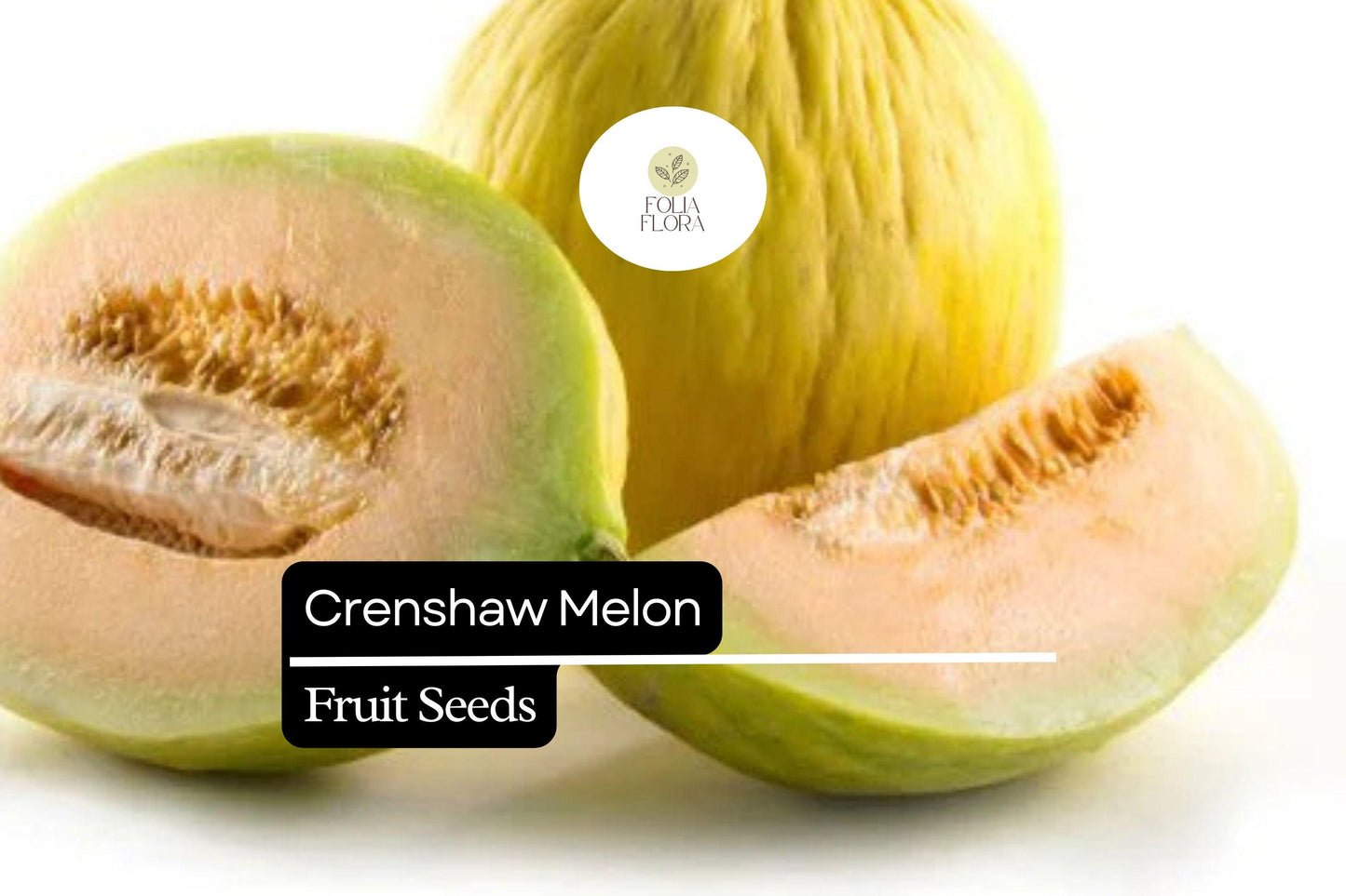 20 Seeds Crenshaw Melon (Cucumis melo) – Sweet, Juicy, Aromatic Melons for Home Gardens
