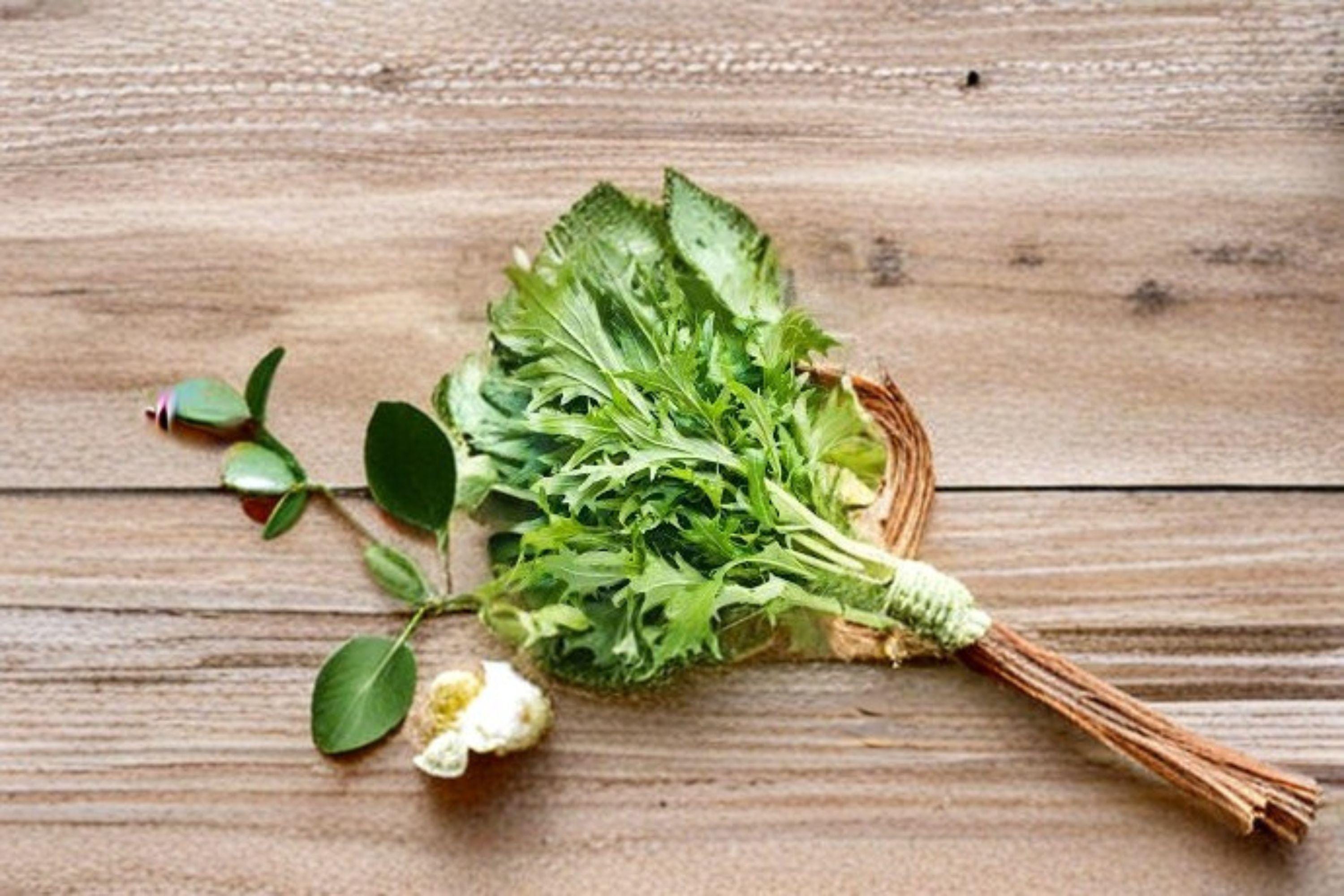 Mizuna – Early 300 Seeds | Japanese Mustard Green | Mild & Feathery Leaves | Fast-Growing