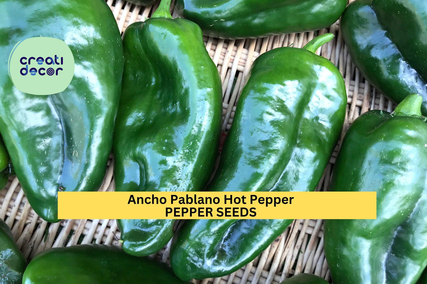 3pcs of 250mg Ancho Poblano Hot Pepper Seeds – Mild Chili for Roasting, Drying, or Salsas – Garden Vegetable Seeds , Seeds for Planting