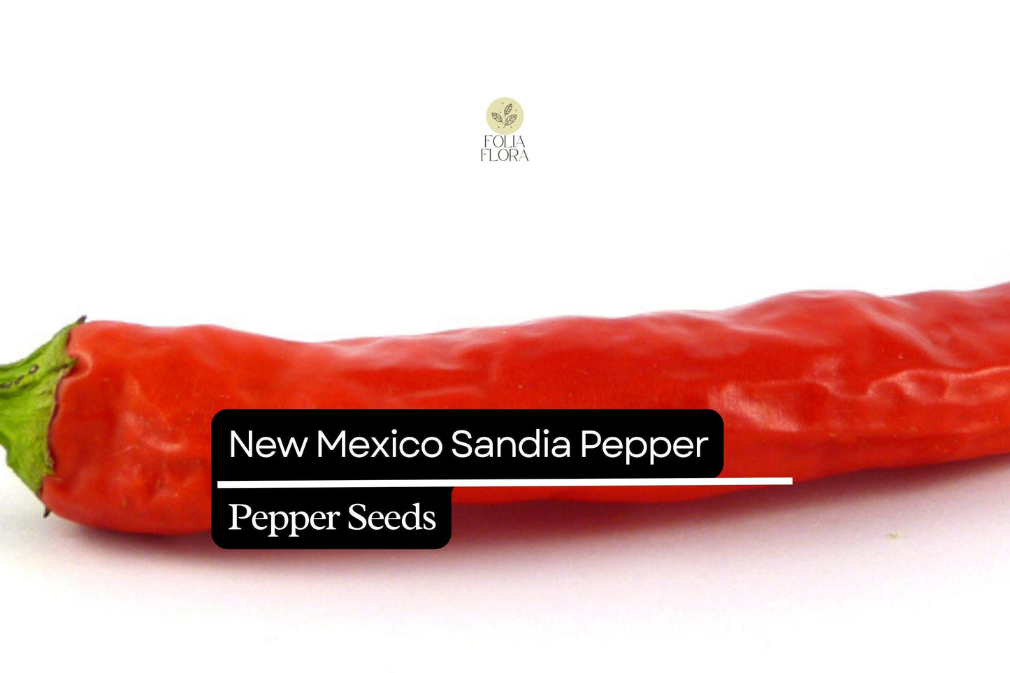 25 New Mexico Sandia Pepper Seeds – Capsicum annuum – Mild to Medium Heat, Heirloom Chili, Non-GMO, Perfect for Roasting & Drying