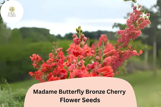 Antirrhinum majus Madame Butterfly Bronze Cherry Snapdragon Seeds – 1000+ Ruffled Blooms for Garden & Cut Flowers