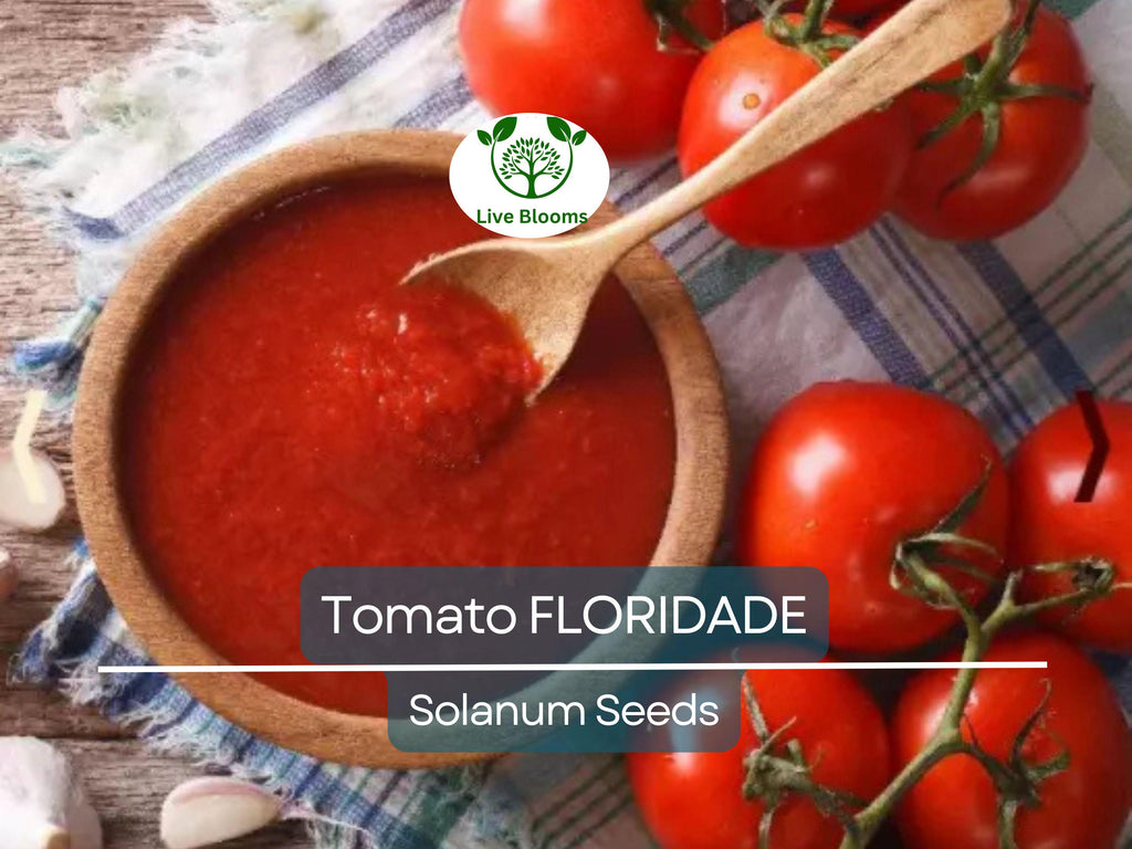 100 Floridade Tomato Seeds – Heirloom Determinate Variety | Lycopersicon esculentum | Non-GMO | Heat-Tolerant Slicing Tomato