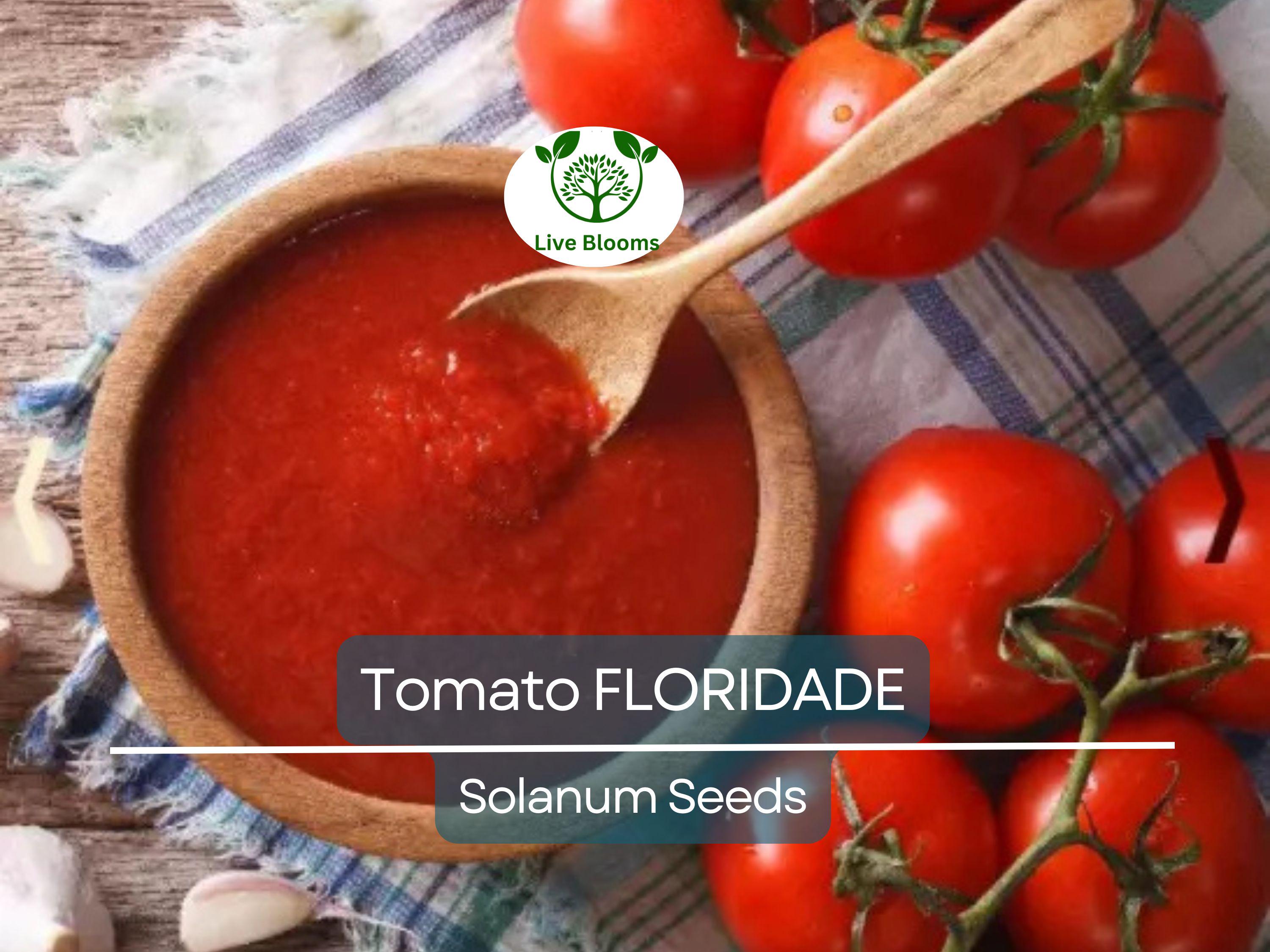 100 Floridade Tomato Seeds – Heirloom Determinate Variety | Lycopersicon esculentum | Non-GMO | Heat-Tolerant Slicing Tomato