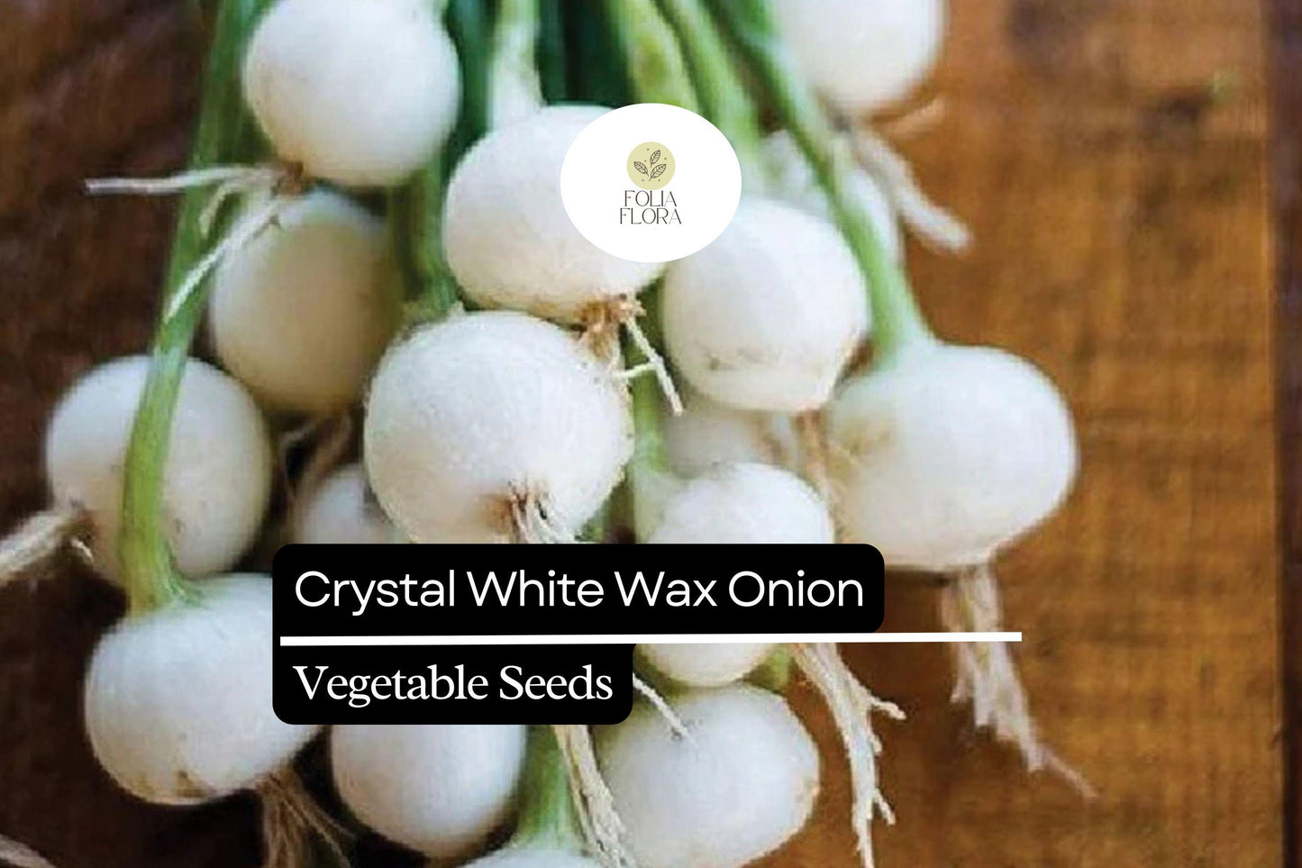 200 Seeds Crystal White Wax Onion, Allium Cepa, Mild & Sweet Pearl Onion Variety