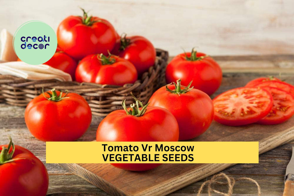 3pcs of 100mg Tomato VR Moscow Seeds – Early Heirloom Variety,Cold Tolerant,Rich Flavor, Great Garden & Container Growing Seeds for Planting
