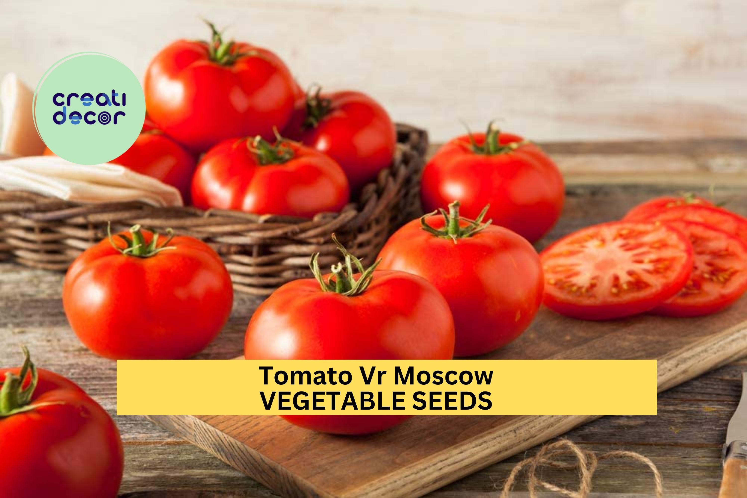 3pcs of 100mg Tomato VR Moscow Seeds – Early Heirloom Variety,Cold Tolerant,Rich Flavor, Great Garden & Container Growing Seeds for Planting