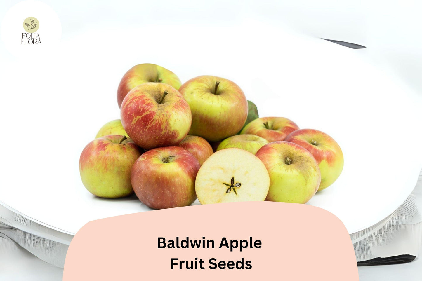 25+ Baldwin Apple Seeds for Planting | Heirloom Cold Hardy Apple Tree | Sweet Crisp Fruit | Garden Orchard Seeds