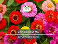 200 Seeds Zinnia Lilliput Mix Elegans Heirloom Non-GMO Mixed Colors, Pollinator-Friendly, Compact Blooms, Easy to Grow, Garden Flowers