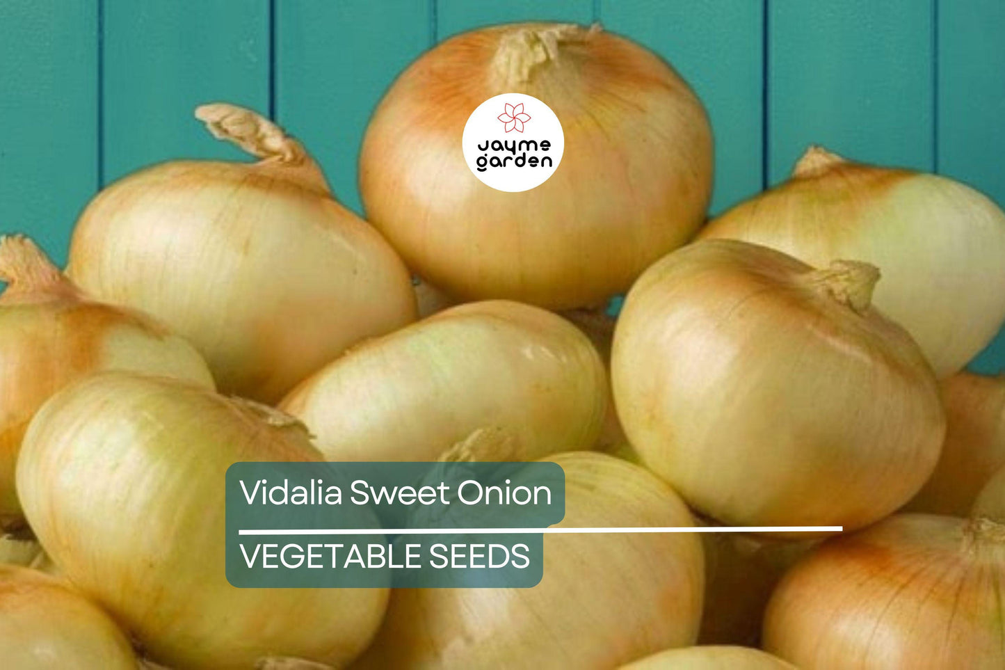 500 Treated Vidalia Sweet Onion Seeds | Non-GMO Heirloom | Early Grano Short-Day Variety