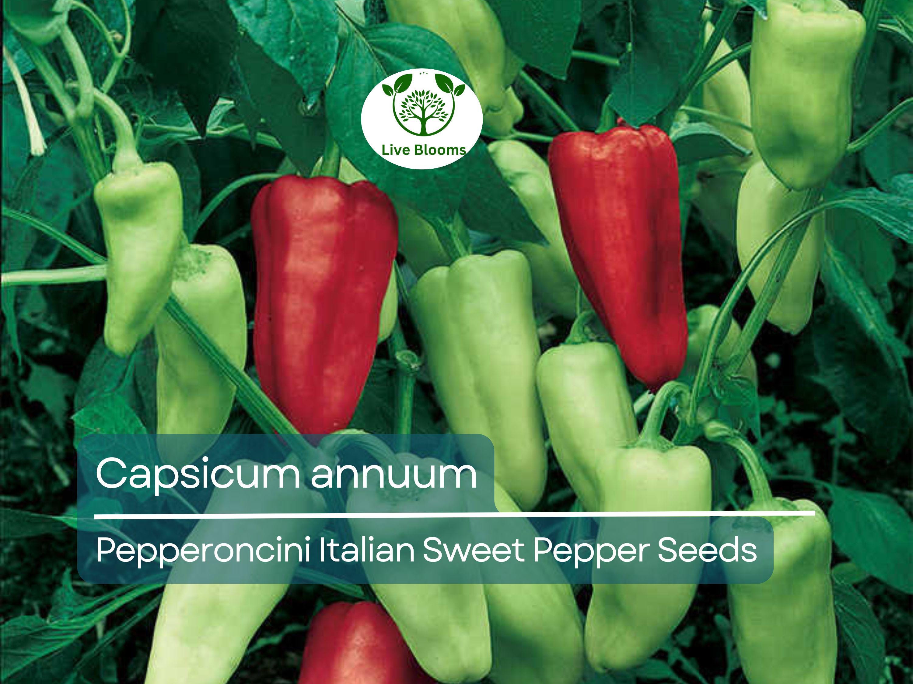250 mg Pepperoncini Italian Sweet Pepper Seeds - Capsicum annuum | Heirloom Mild Pepper for Planting, Pickling & Culinary Use