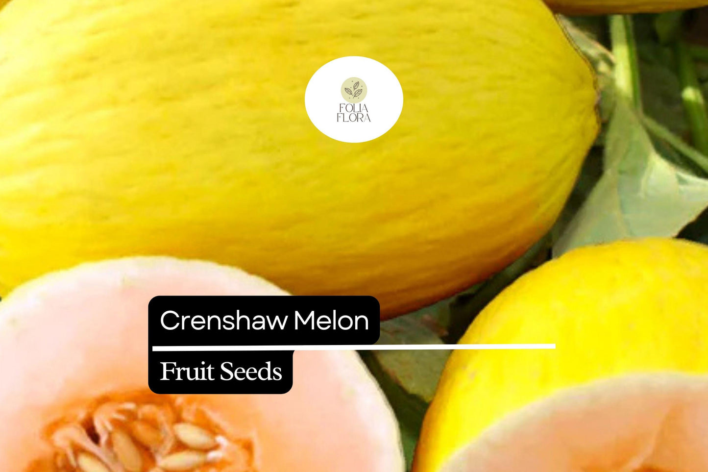 20 Seeds Crenshaw Melon (Cucumis melo) – Sweet, Juicy, Aromatic Melons for Home Gardens