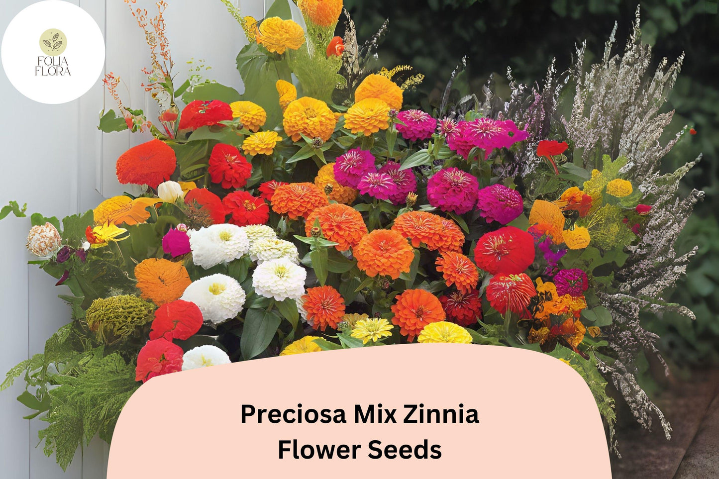 100+ Preciosa Mix Zinnia Seeds | Colorful Annual Garden Flowers | Easy Grow, Cut Flower Variety, Pollinator Friendly