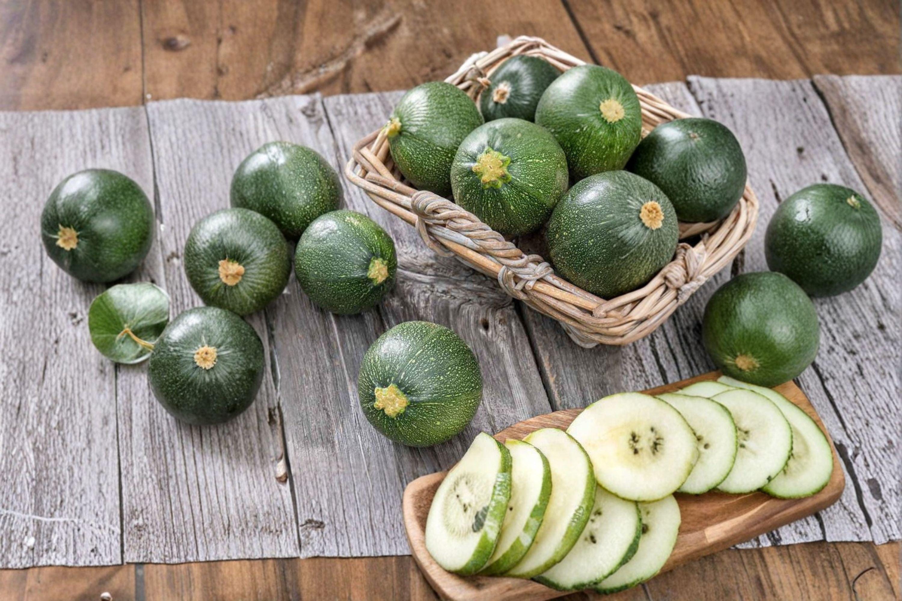 Summer Squash – Round Zucchini 10 Seeds | Heirloom Round Zucchini | Tender Flesh | Compact & Productive