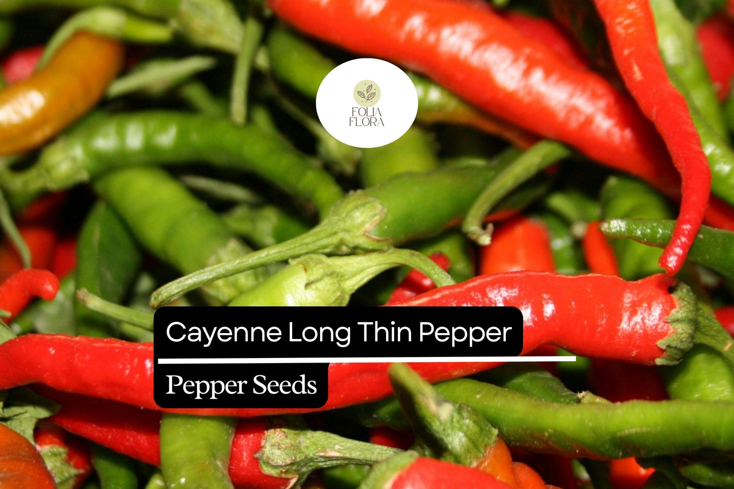 30 Seeds Cayenne Long Thin Pepper, Capsicum Annuum, Spicy Chili for Cooking and Drying