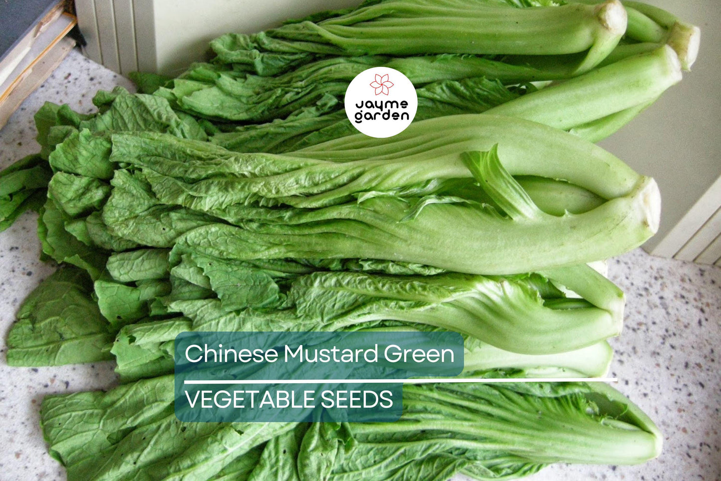 2,000 Chinese Mustard Green Seeds - Gai Choy, Cai Be Xanh, Fast-Grow, Nutrient-Rich, USA Seller, Perfect for Stir-Fries & Salads