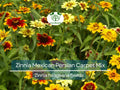 500 Seeds Zinnia Mexican Persian Carpet Mix, Dwarf Flower, Non-GMO, Vibrant Colors, Pollinator-Friendly, Easy to Grow, Perfect for Gardens