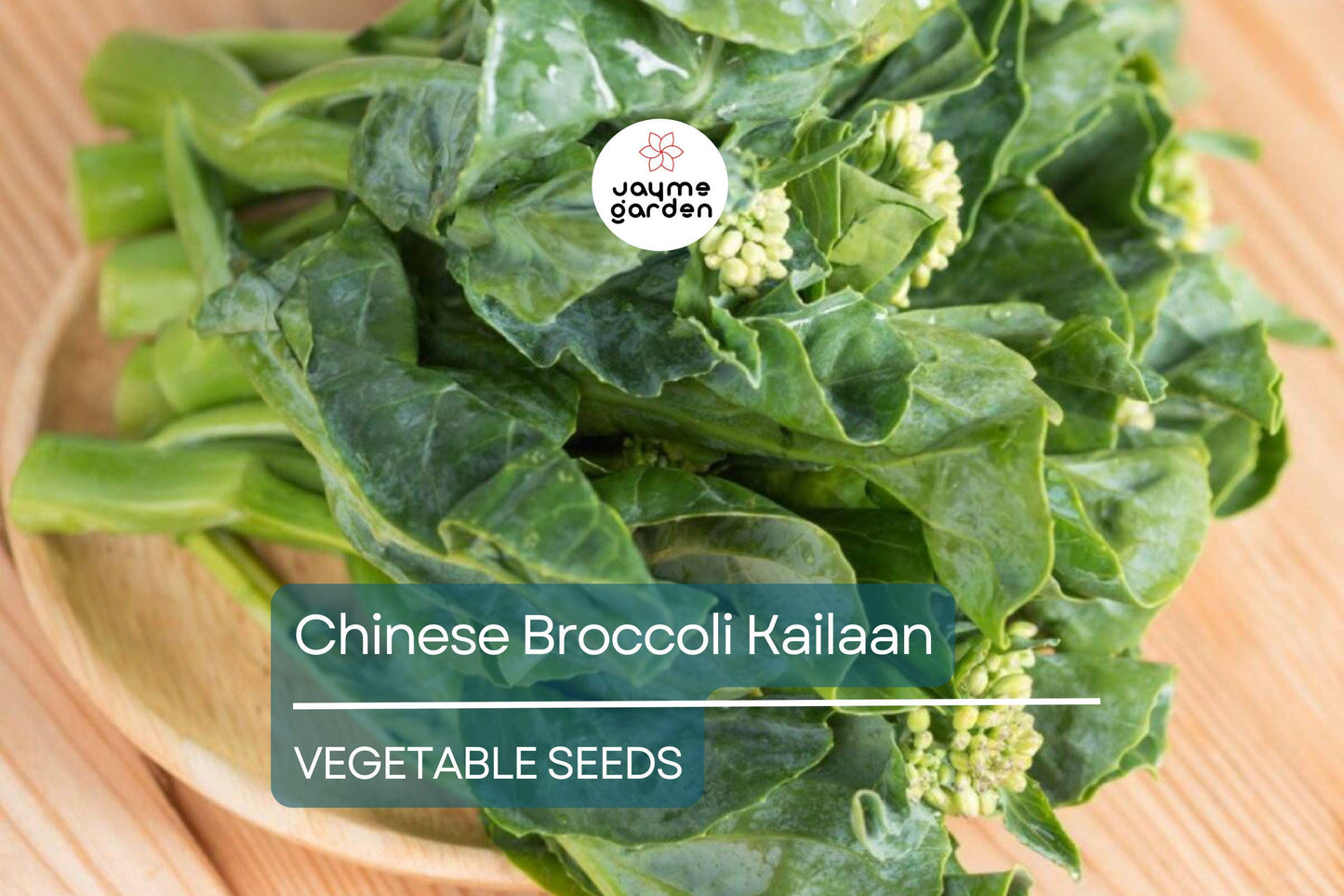 500mg Chinese Broccoli Kailaan Seeds - Open Pollinated Asian Green - Heirloom Non-GMO for Stir-Fries, Soups, & Garden Veggies