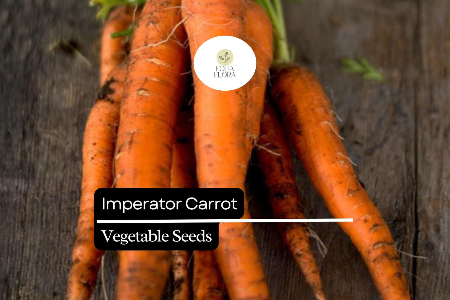 300 Imperator Carrot Seeds – Daucus carota – Heirloom, Long & Sweet, Crisp Texture, Perfect for Juicing