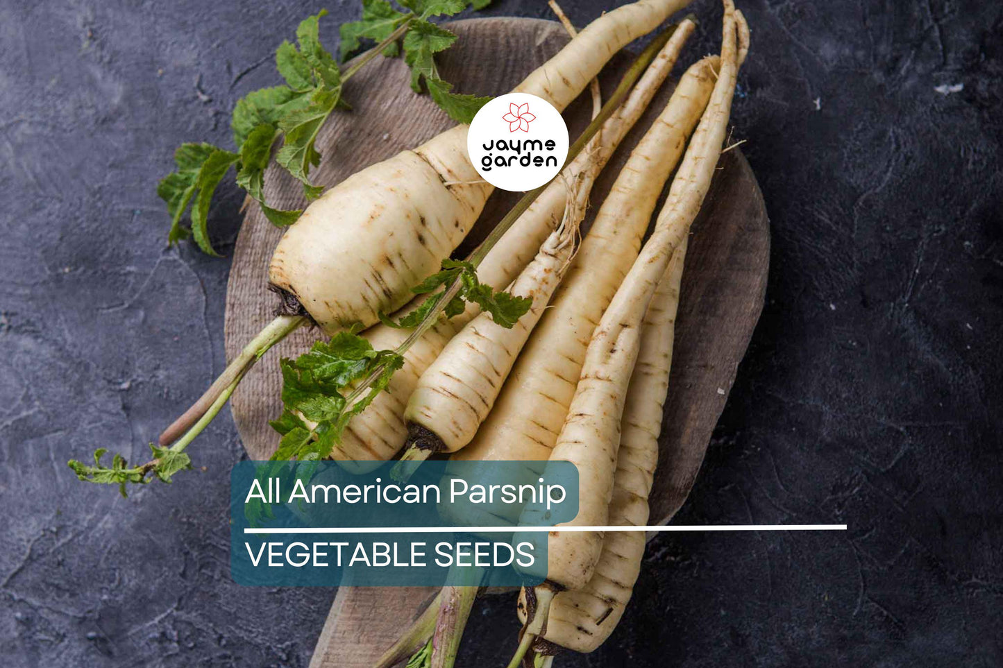 500 All American Parsnip Seeds – Heirloom, Non-GMO, Sweet, Nutty Flavor, 10-12” Roots, Winter Harvest, USA Seller, Free Shipping!