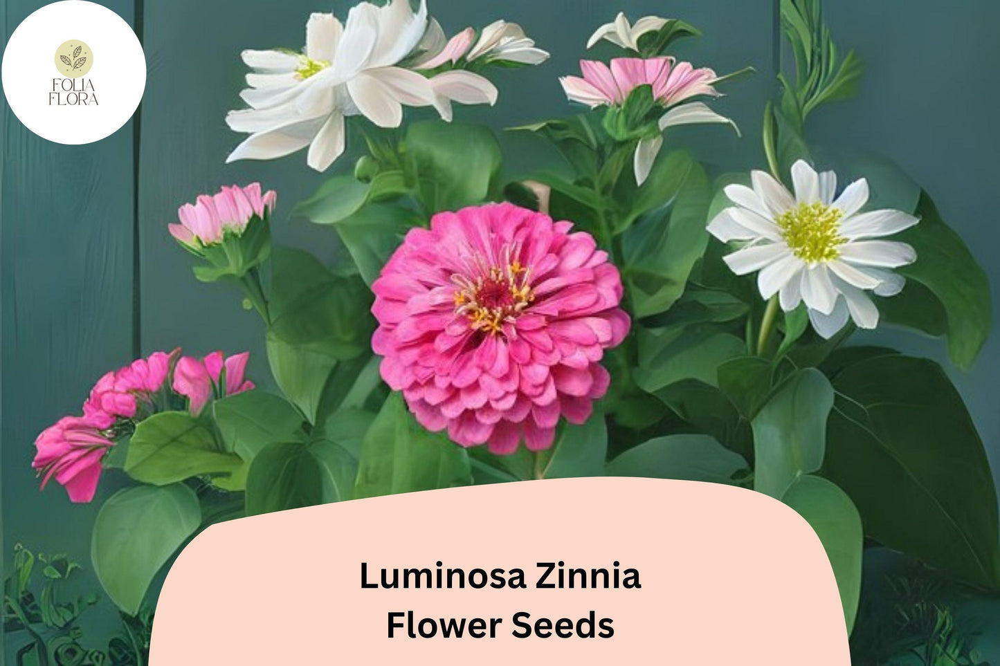 100+ Luminosa Zinnia Seeds – Bright Pink Blooms for Garden Planting, Borders & Cut Flower Arrangements