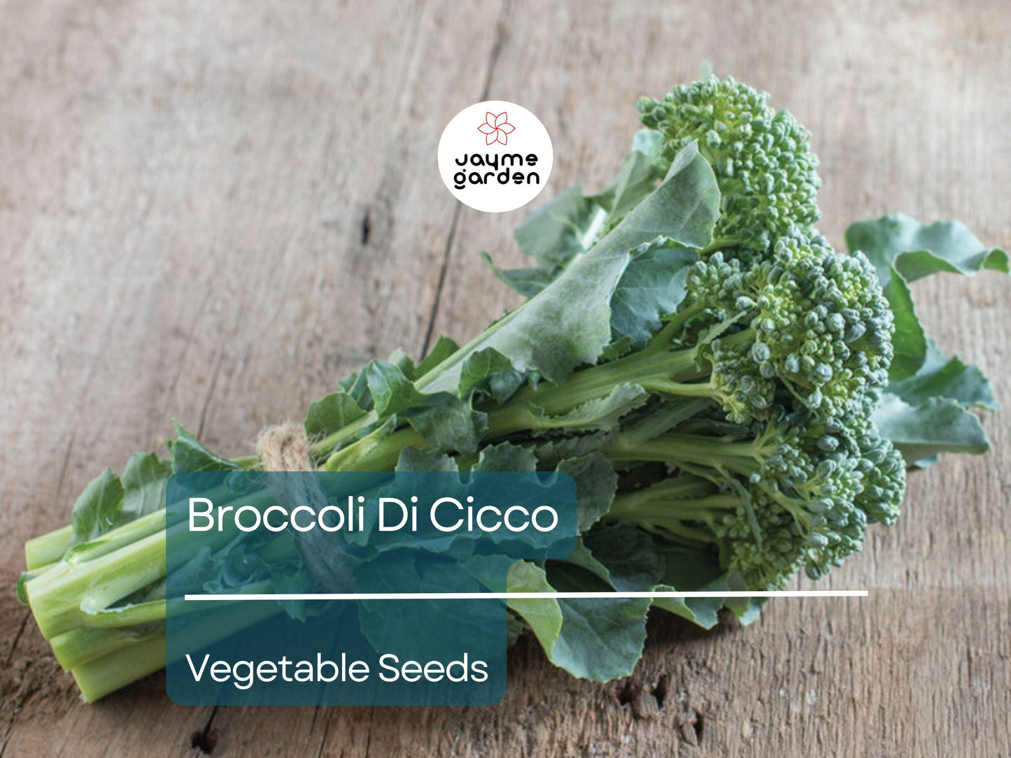Broccoli Di Cicco 1 Gram Seeds - Heirloom Non-GMO Variety - Tender, Sweet, High-Yield Broccoli for Fresh Eating, Steaming, & Stir-Fries