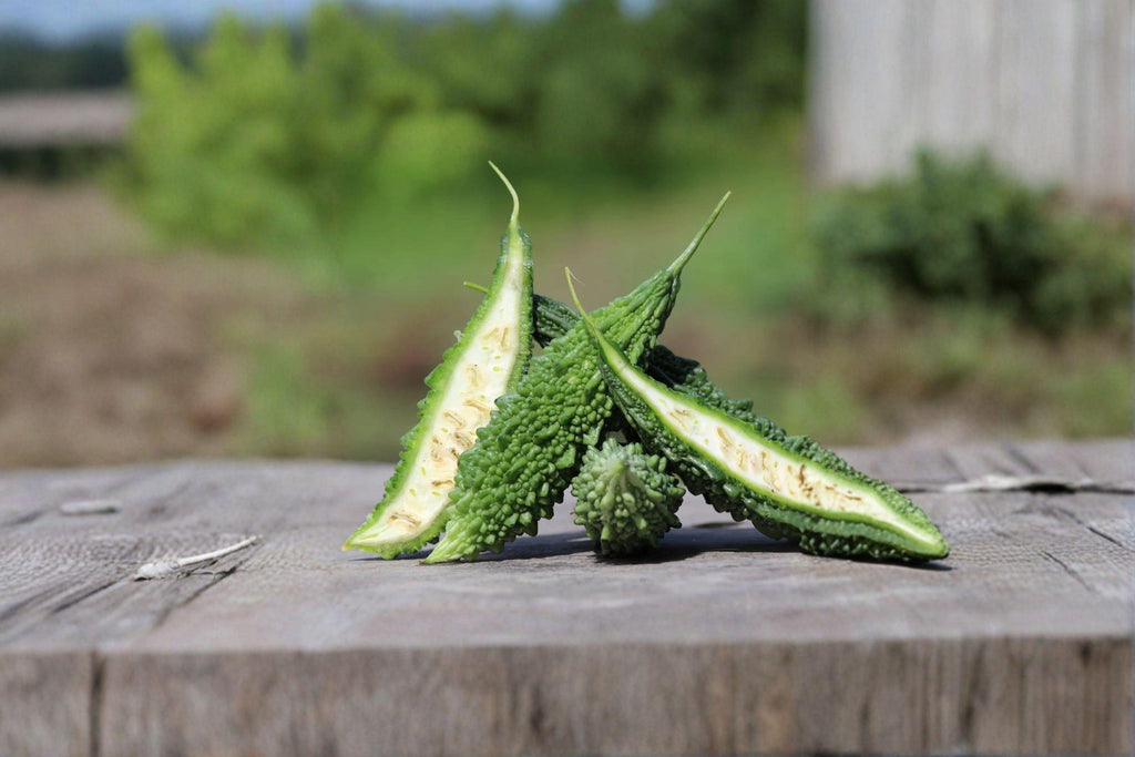 Bitter Melon – Dark Jade (Hybrid) 5 Seeds | Asian Gourd | Dark Green Fruits | Heat-Loving Hybrid Variety