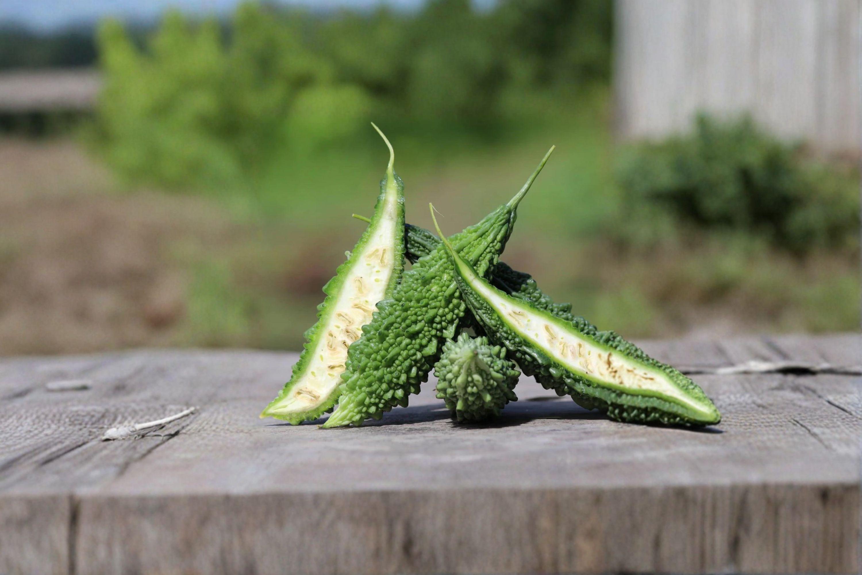 Bitter Melon – Dark Jade (Hybrid) 5 Seeds | Asian Gourd | Dark Green Fruits | Heat-Loving Hybrid Variety