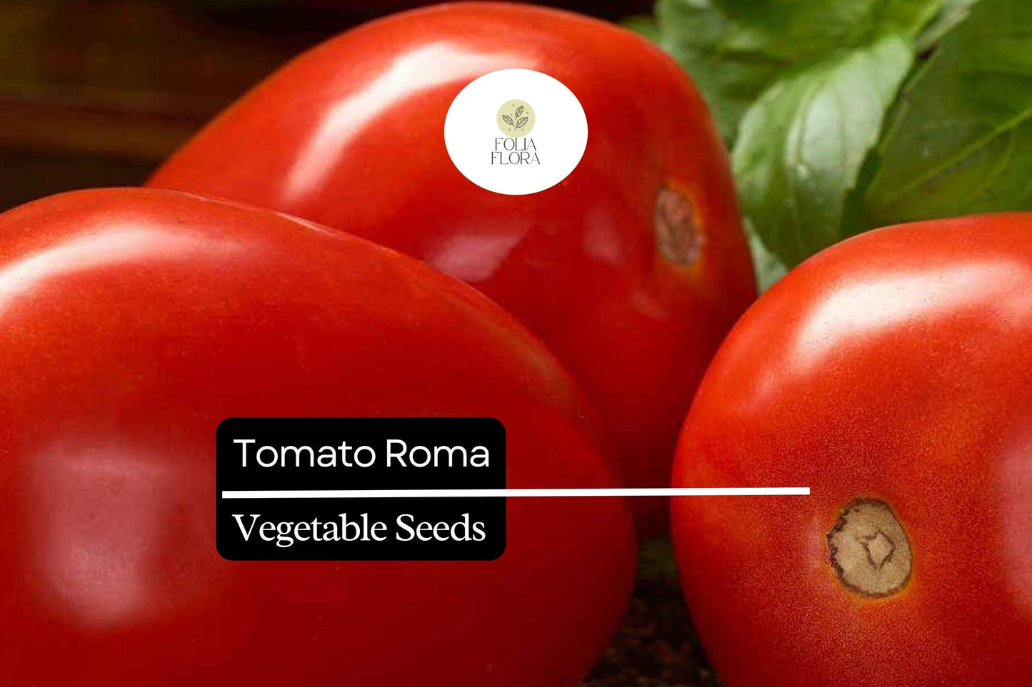 50 Seeds Tomato Roma (Solanum lycopersicum) – Classic Heirloom Plum Tomato for Sauces, Soups, and Canning