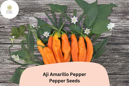 25+ Aji Amarillo Pepper Seeds | Peruvian Heirloom Chili | Medium-Hot Yellow Peppers for Spicy Garden Planting