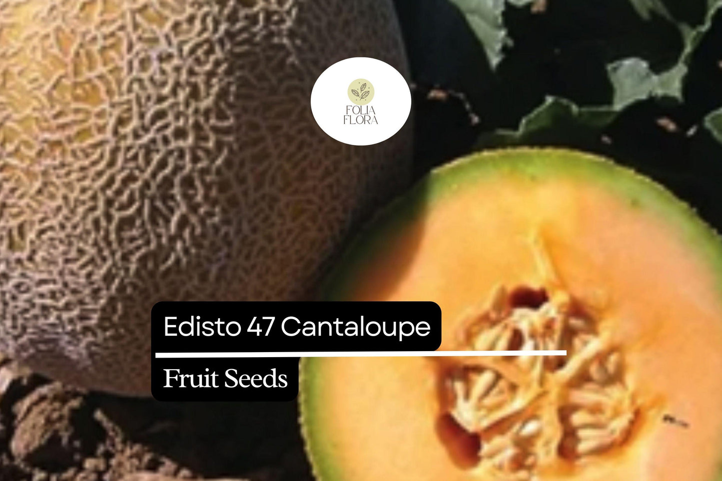 20 Seeds Edisto 47 Cantaloupe (Cucumis melo) – Sweet, Heat-Tolerant Heirloom Melon Variety