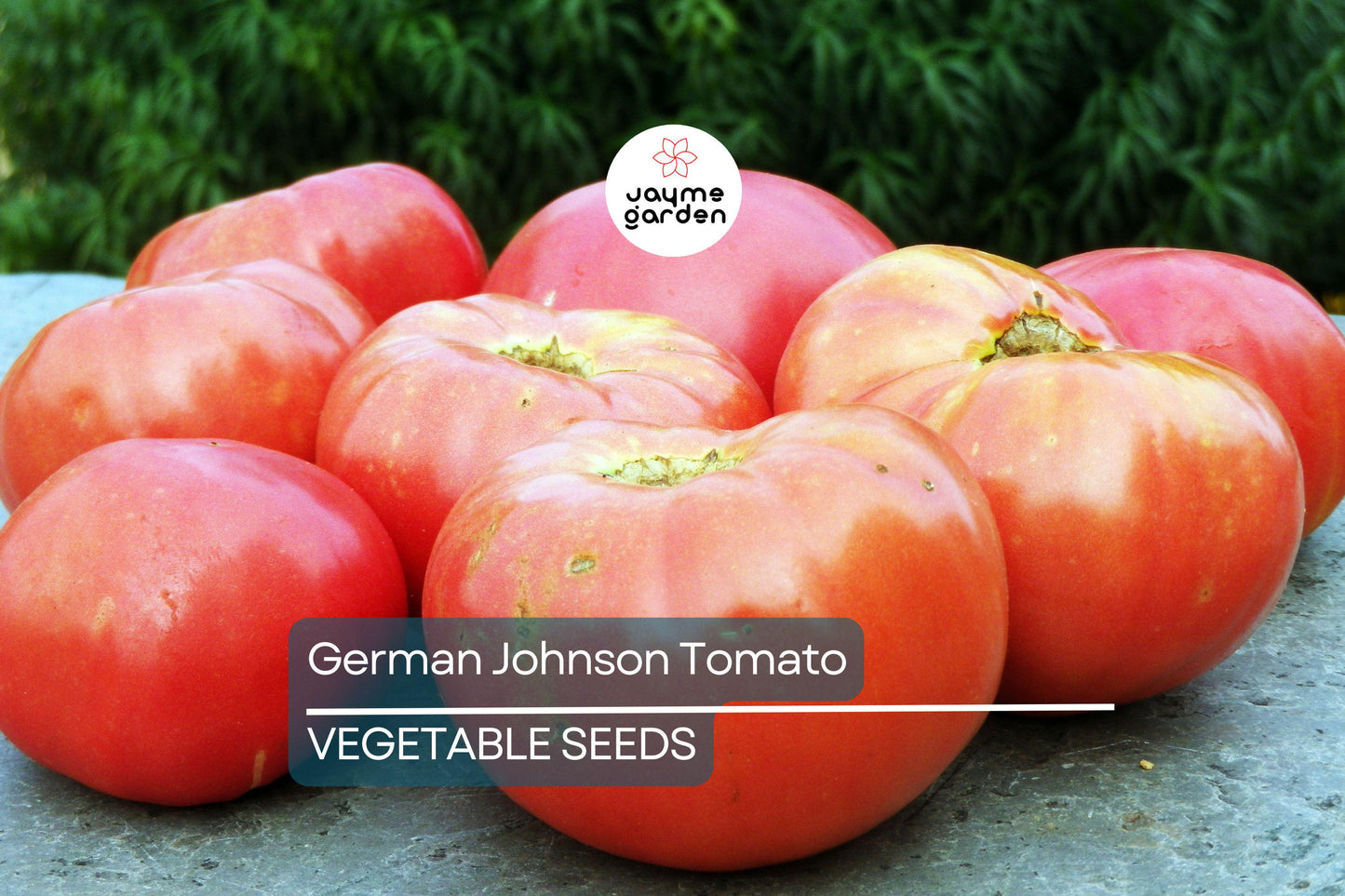 100 German Johnson Tomato Seeds - Non-GMO Heirloom | Large Pink, Low Acid, Crack-Resistant | Indeterminate | Free Shipping