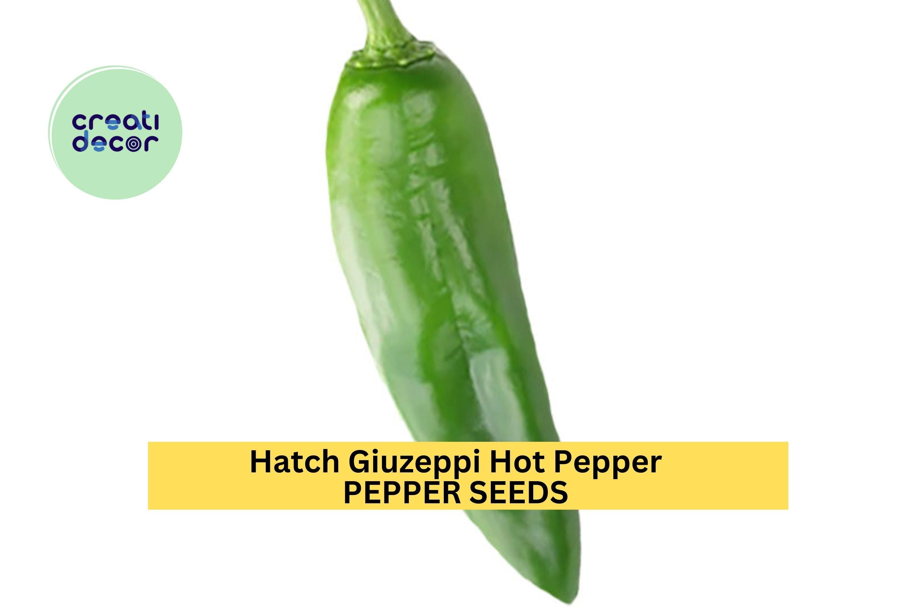 3pcs of 250mg Hatch Giuzeppi Hot Pepper Seeds – Flavorful, Medium-Heat Chili Seeds for Planting – Ideal for Roasting & Salsas