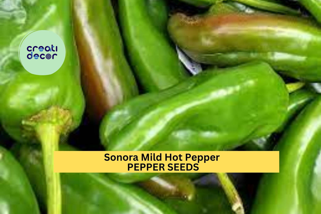 3pcs of 250mg Sonora Mild Hot Pepper Seeds – Mild Chili for Roasting, Salsa & Garden Growing, Productive Early Harvest Seeds for Planting