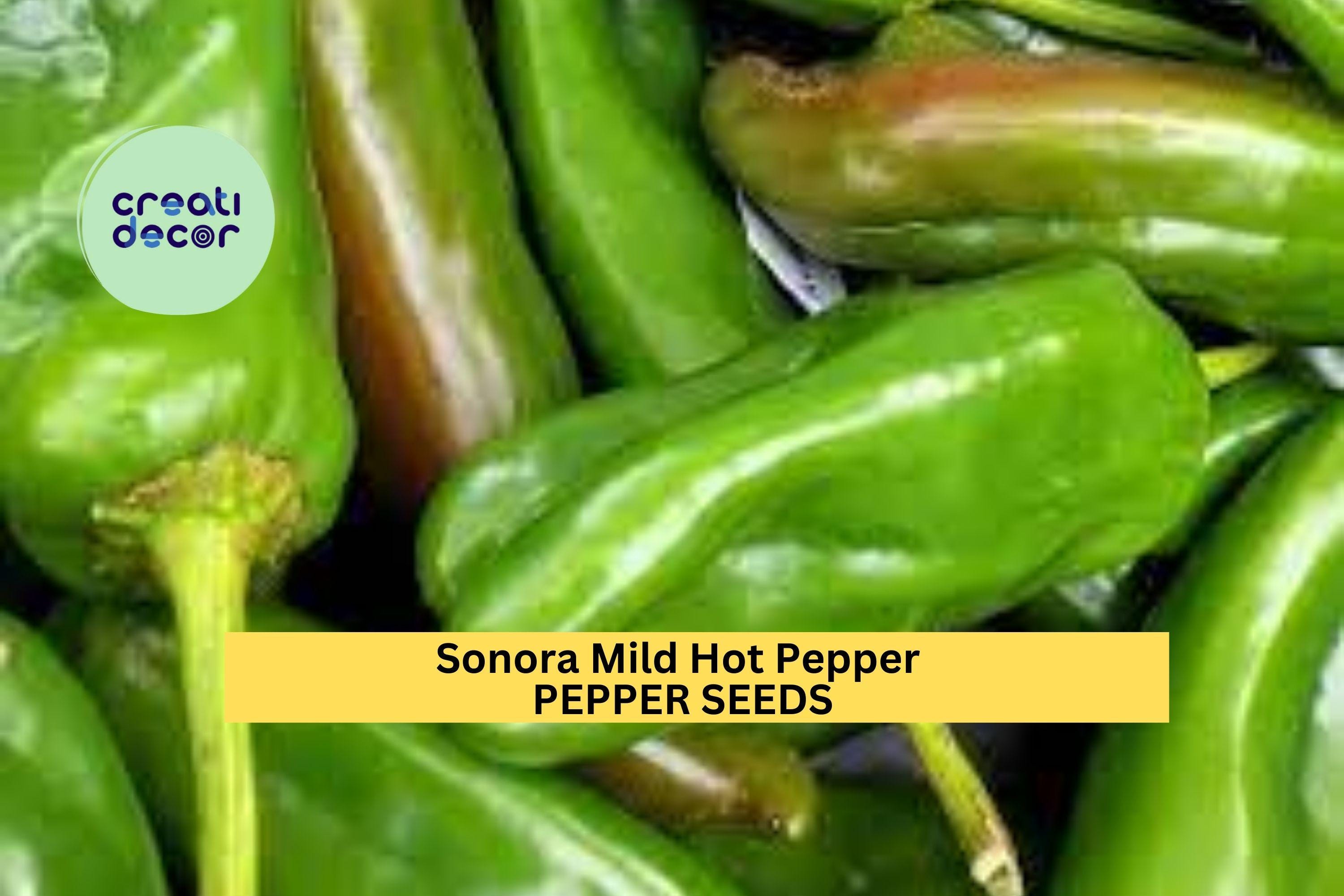 3pcs of 250mg Sonora Mild Hot Pepper Seeds – Mild Chili for Roasting, Salsa & Garden Growing, Productive Early Harvest Seeds for Planting