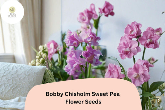 Bobby Chisholm Sweet Pea Seeds 50+ | Lathyrus odoratus Climbing Fragrant Pink Garden Flower