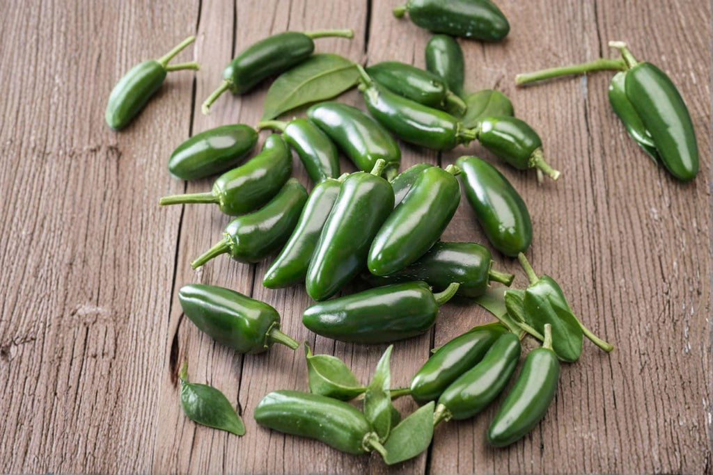 Jalapeño – Early Hot Pepper 30 Seeds | Early-Maturing Jalapeño | Medium Heat | Reliable & Productive