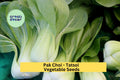 3pcs x 500mg Tatsoi Pak Choi Seeds – Asian Leafy Greens for Garden, Raised Beds, or Containers – Fast Growing Greens Seeds for Planting