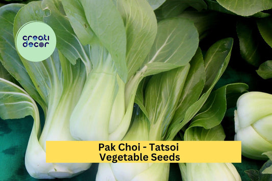 3pcs x 500mg Tatsoi Pak Choi Seeds – Asian Leafy Greens for Garden, Raised Beds, or Containers – Fast Growing Greens Seeds for Planting