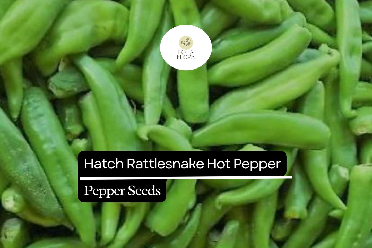 25 Hatch Rattlesnake Pepper Seeds – Capsicum annuum – Heirloom, Spicy & Smoky
