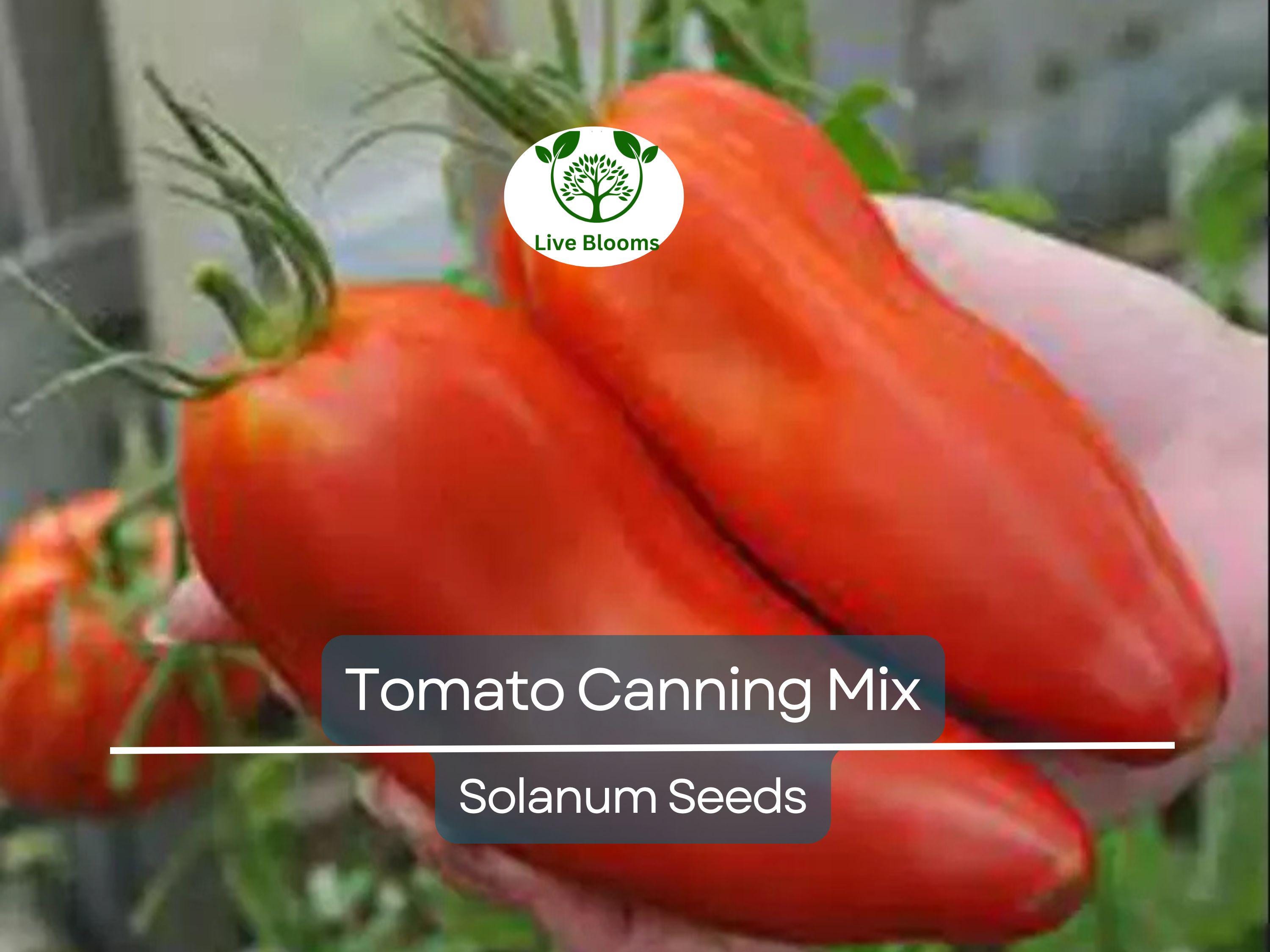 100 Tomato Seeds Mix - Heirloom Canning, Sauce & Paste Varieties | Indeterminate, Non-GMO, Lycopersicon esculentum, Garden Favorite