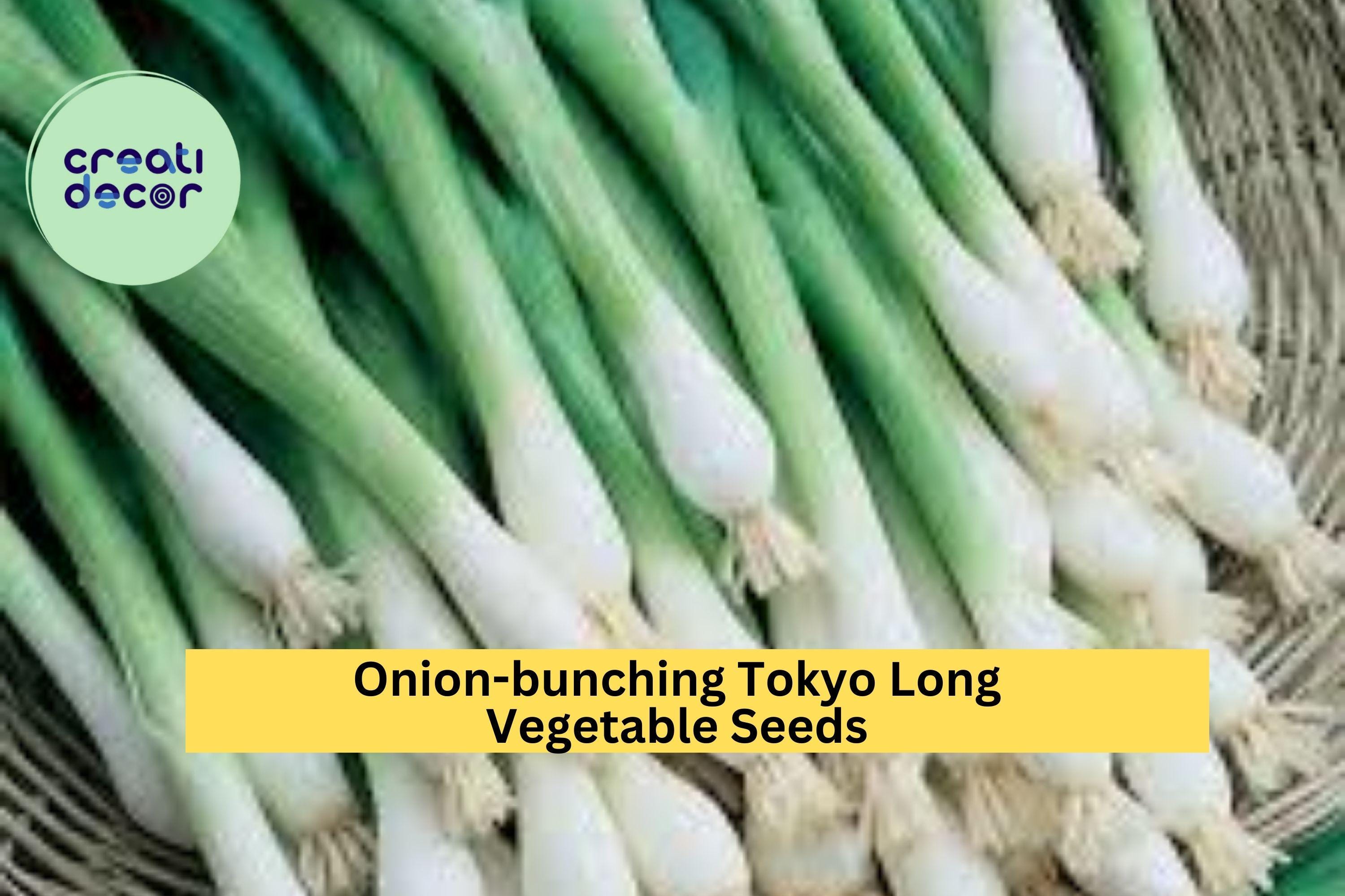 3pcs of 1g Tokyo Long Bunching Onion Seeds – Mild Scallion Variety for Stir-Fries, Soups & Container Gardening Seeds for Planting