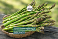 10 Jersey Giant Asparagus Live Bare Root Crowns | 2-Year Plants for High Yield | Cold Hardy & Disease Resistant | Easy to Grow