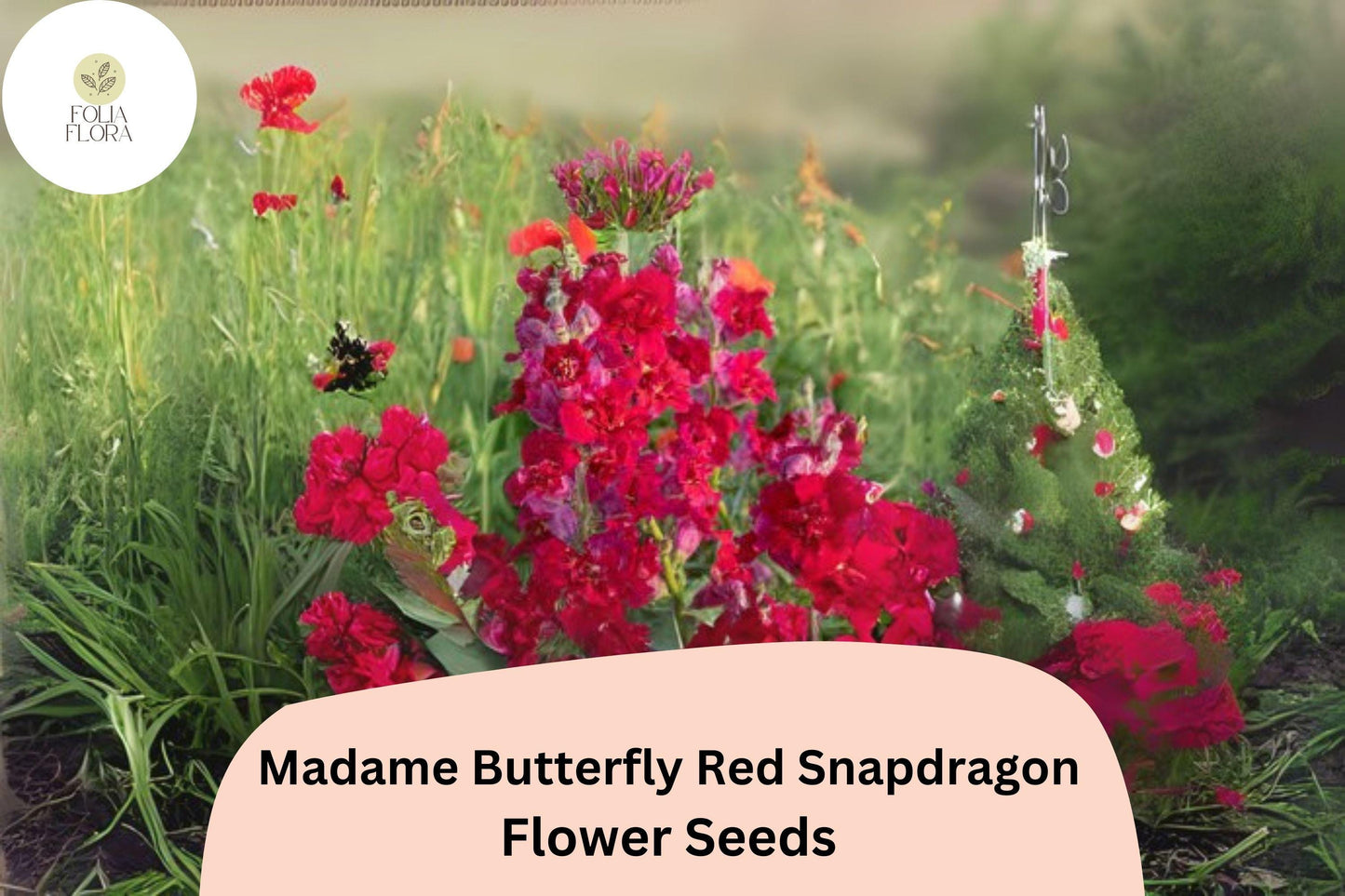 Antirrhinum majus Madame Butterfly Red Snapdragon Seeds – 1000+ Ruffled Blooms for Garden & Cut Flowers